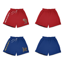 Load image into Gallery viewer, KOTC "Dunk v2" and "No Look Pass" Swingman Mesh Shorts Heavyweight in Red/Blue
