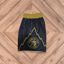 Load image into Gallery viewer, "We The North" Raptors Mesh Shorts - Black
